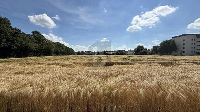 ATTRAKTIV MIT VIELFÄLTIGEN BEBAUUNGSMÖGLICHKEITEN - Grundstück Wabern | Angebot:27294128
