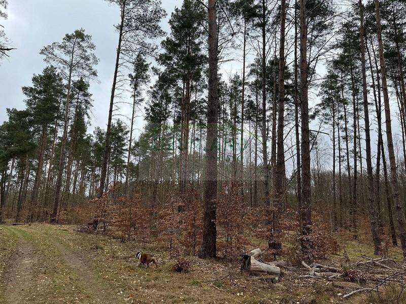 Grundstück zu verkaufen in Wustrow 280.000 € 200015 m²
