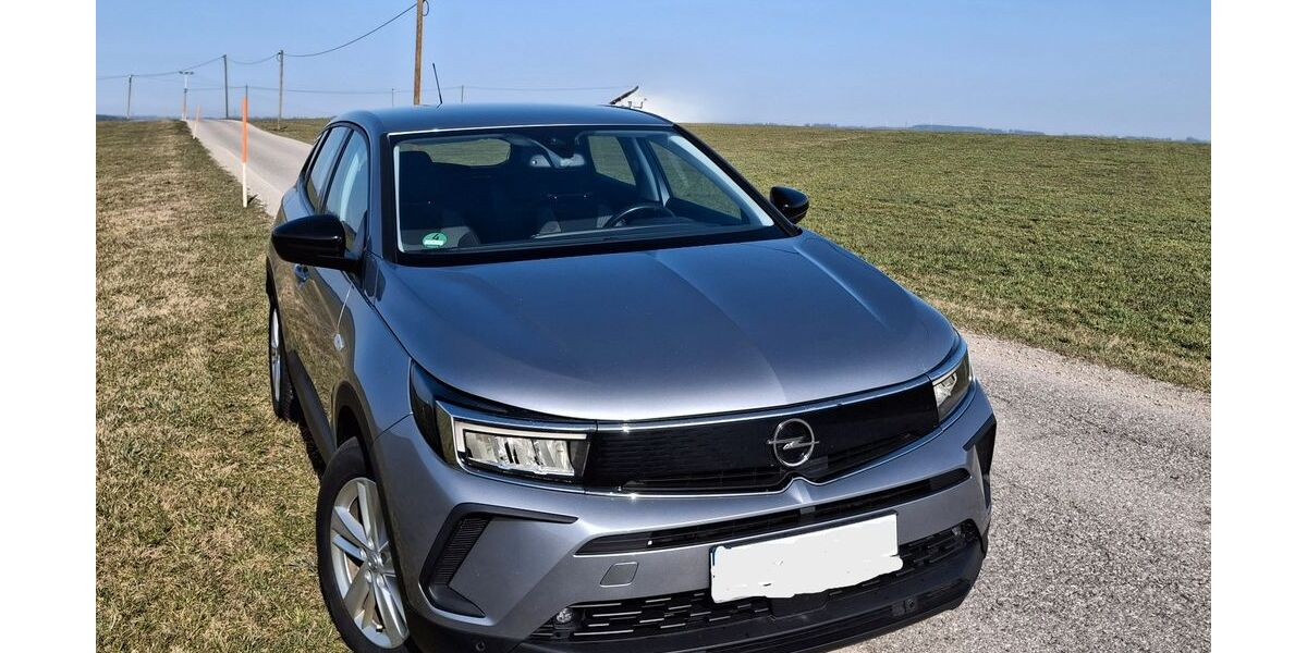 Opel Grandland (X) 99.500 km 18.900 &euro; Altusried 87452