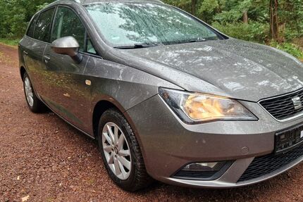Seat Ibiza 134.000 km 5.400 € Theeßen 39291
