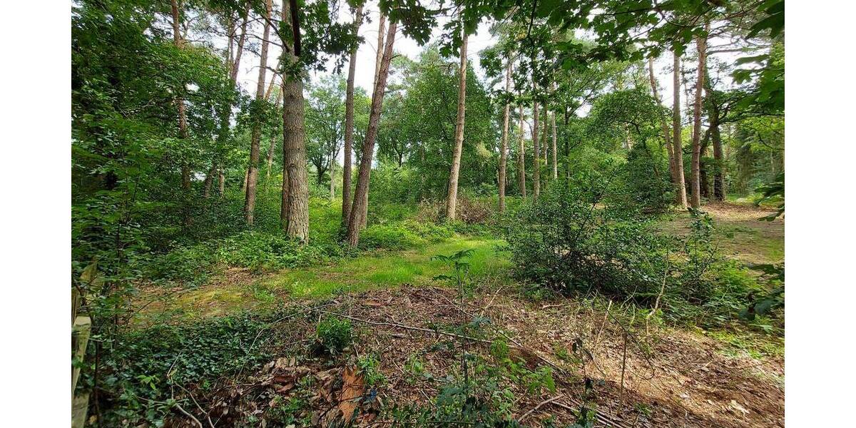 Grundstück Worpswede / Neu Sankt Jürgen Neu Sankt Jürgen - 165.000&euro; | Angebot:25727269