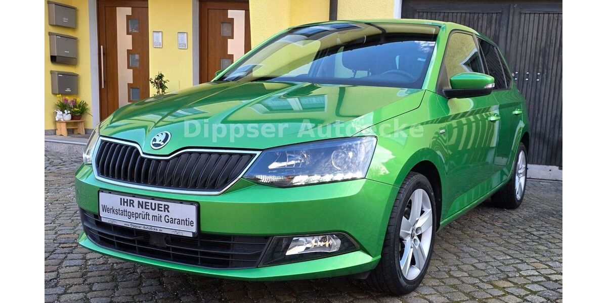Skoda Fabia 42.200 km 12.450 &euro; Dippoldiswalde 01744