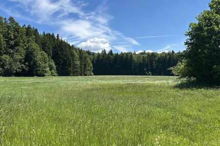 Grundstück Siegsdorf / Hammer Hammer - 717.500&euro; | Angebot:26834449
