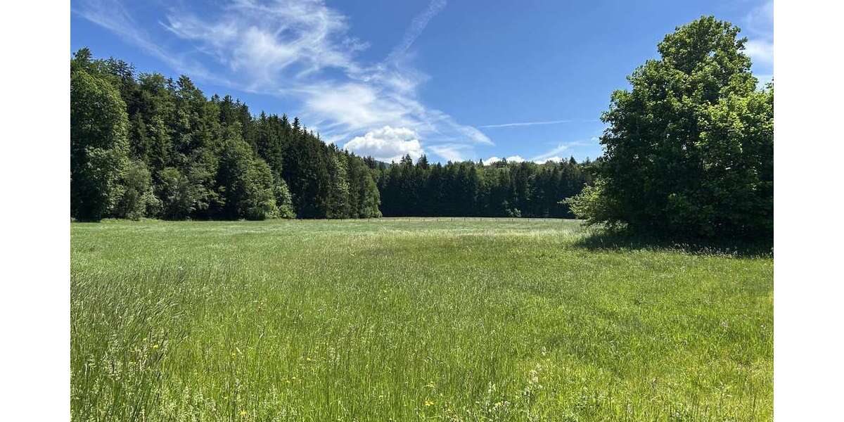 Grundstück Siegsdorf / Hammer Hammer - 717.500&euro; | Angebot:26834449