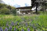 Mehrfamilienhaus, Wohnhaus Müllheim - 9 Zimmer, 240 m&sup2;, 560.000&euro; | Angebot:26410150