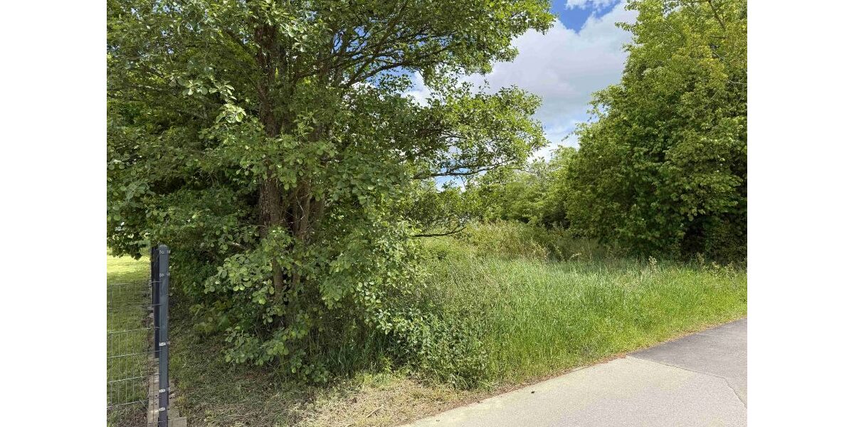 Provisionsfrei* Baugrundstück in Fronhofen - Grundstück Fronhofen | Angebot:26568234