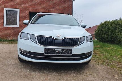Skoda Octavia 161.539 km 11.149 &euro; Rehhorst 23619