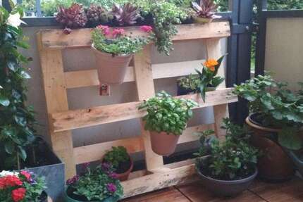 Wohnung zum Mieten in Cottbus 375 € 40.5 m² 2 zimmer