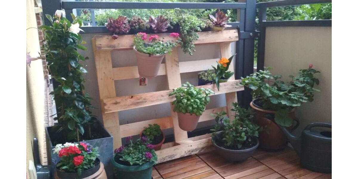 Wohnung zum Mieten in Cottbus 375 € 40.5 m² 2 zimmer