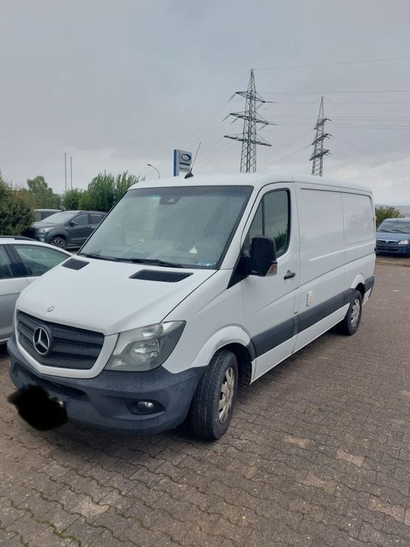 Sprinter