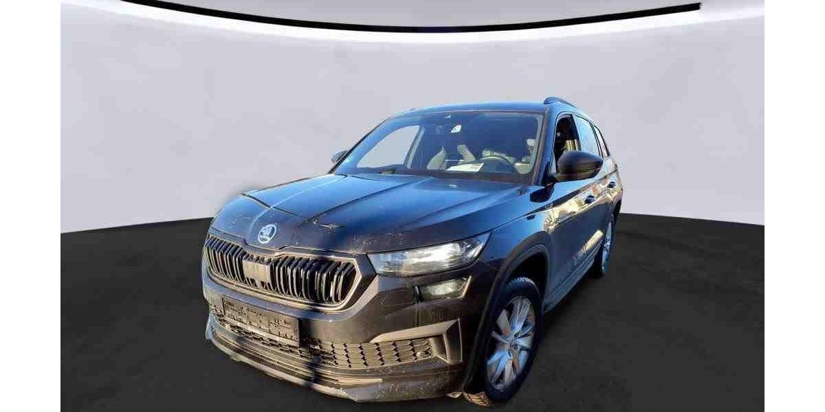 Skoda Kodiaq 124.146 km 33.900 &euro; Braunschweig 38122