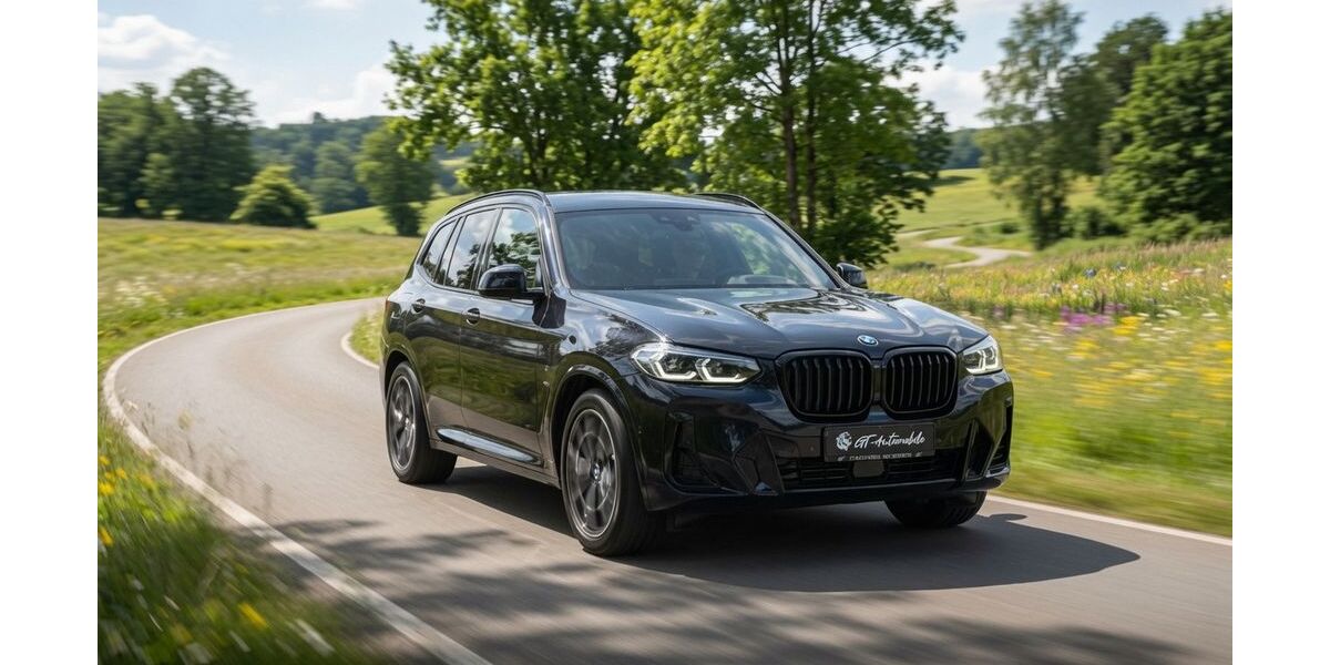 BMW X3 100.000 km 41.700 &euro; Bischofsheim 65474