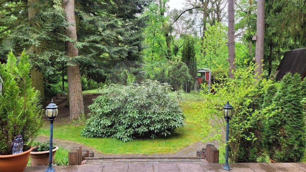 Grundstück Coswig (Anhalt) Coswig - 50.000&euro; | Angebot:26672601