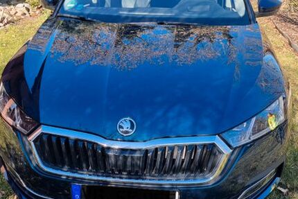 Skoda Andere 67.000 km 21.800 &euro; Altwigshagen 17379