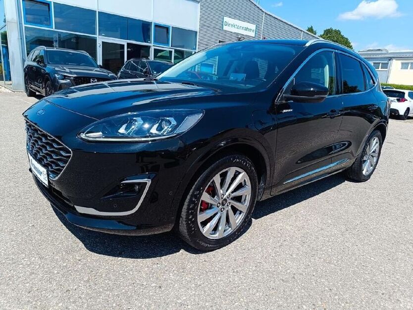 Kuga