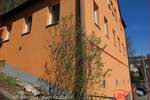 Doppelhaushälfte Altensteig - 5 Zimmer, 125 m&sup2;, 329.000&euro; | Angebot:25665822