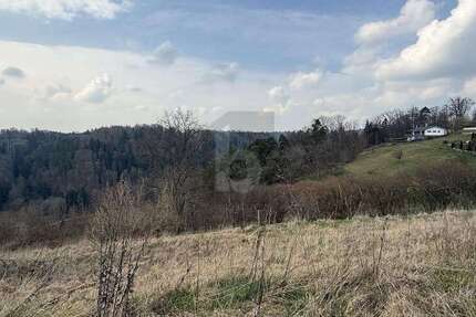 Grundstück Wildberg - 860.000&euro; | Angebot:26691850