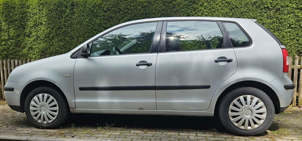 Polo