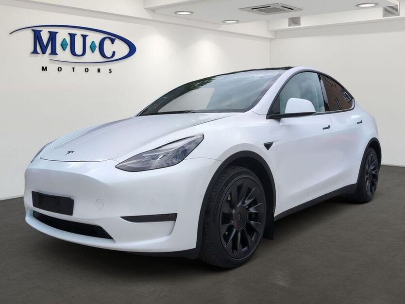 Model Y