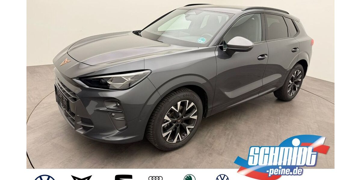 Cupra Terramar 26.560 km 34.600 &euro; Peine 31226