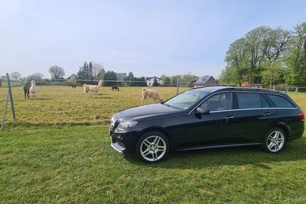 Mercedes-Benz E 250 372.000 km 9.999 &euro; Ratzeburg 23909