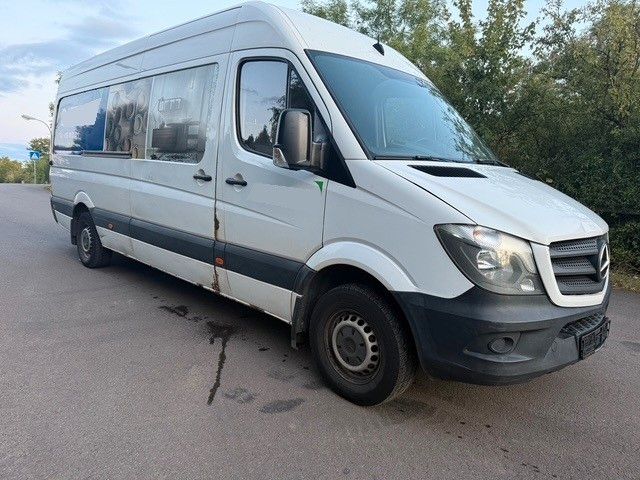 Sprinter