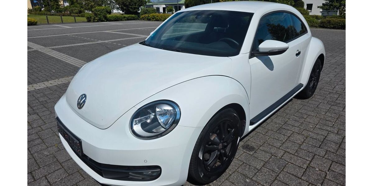 VW Beetle 138.000 km 7.999 € Ebernhahn 56424