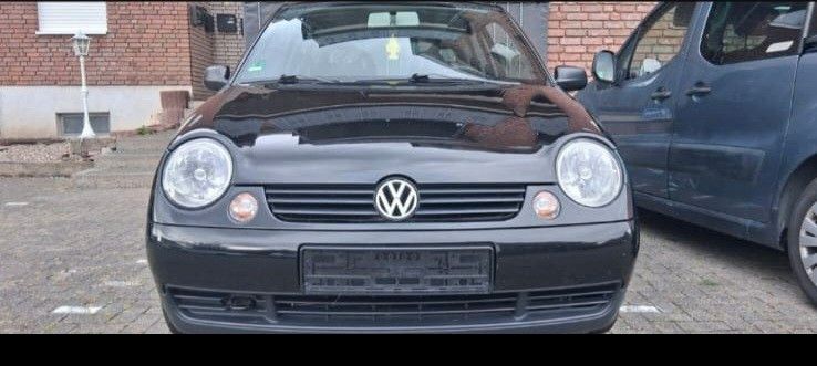 Lupo
