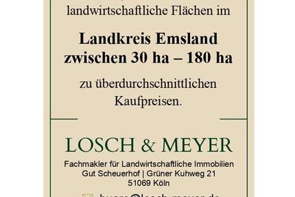Grundstück Meppen - 16&euro; | Angebot:9499579