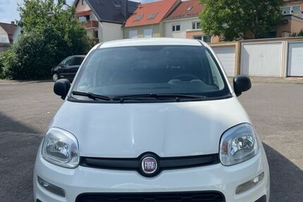 Fiat Panda 134.156 km 4.590 &euro; Mannheim 68259