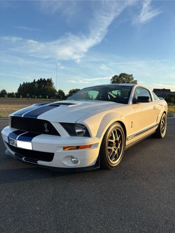 Mustang