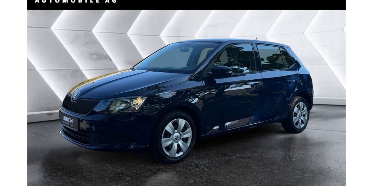 Skoda Fabia 47.530 km 8.900 &euro; Neuruppin 16816