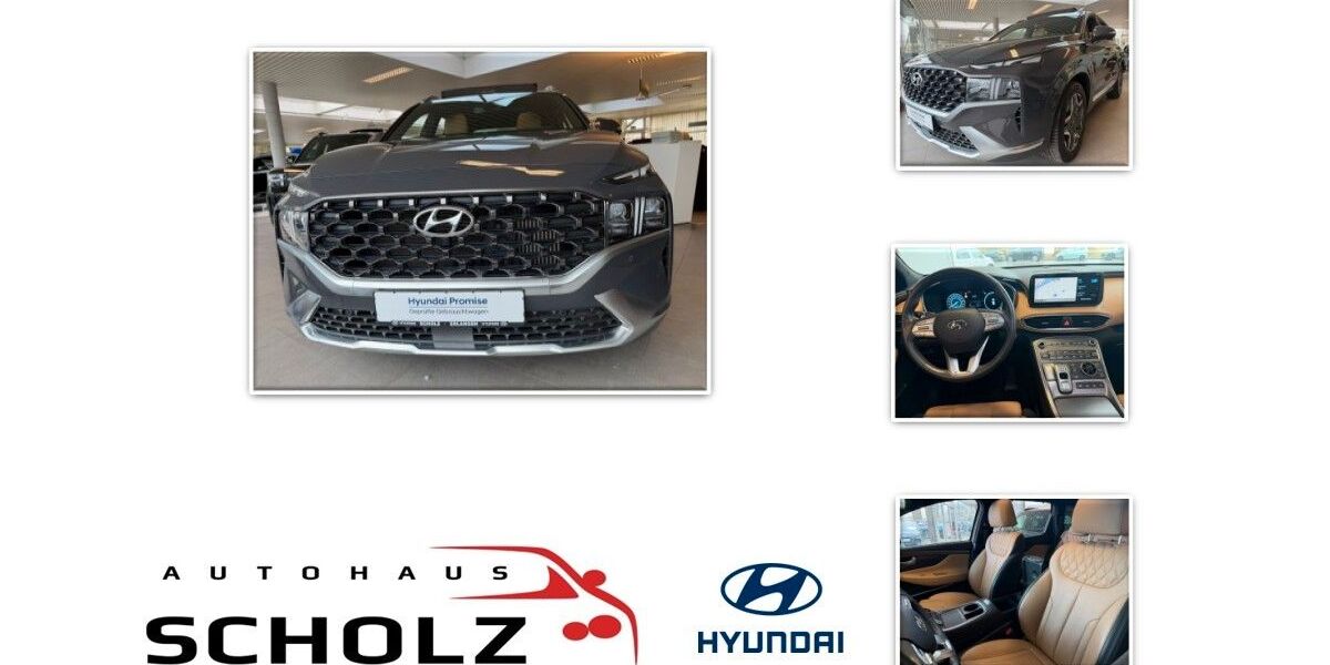 Hyundai SANTA FE 30.371 km 35.890 &euro; Erlangen 91056