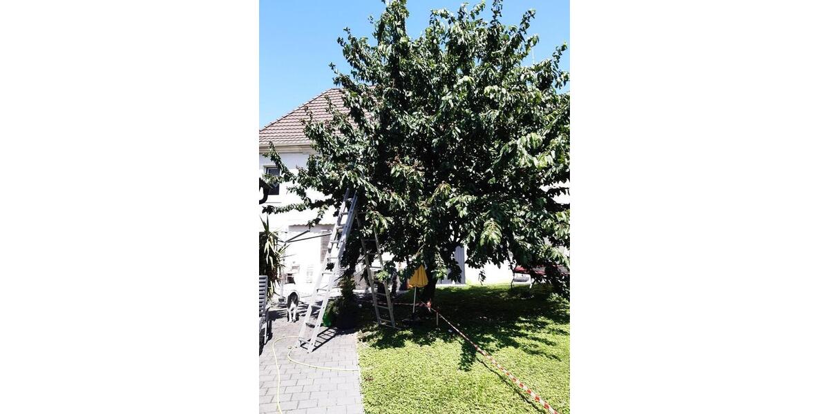 Einfamilienhaus Hartheim am Rhein - 745.000&euro; | Angebot:21226510