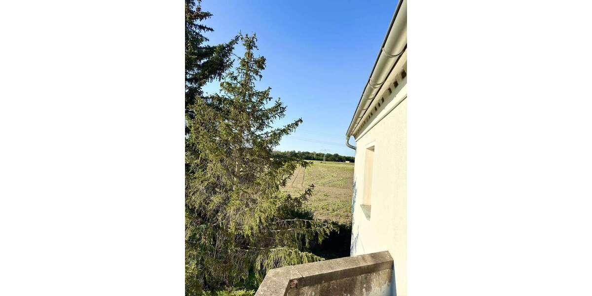 Einfamilienhaus im Grünen - bis zu 50% BAFA förderfähig inkl. vollumfänglichem Sanierungsfahrplan! - Einfamilienhaus Zeithain | Angebot:26533758