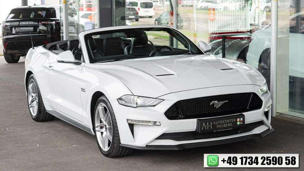 Mustang