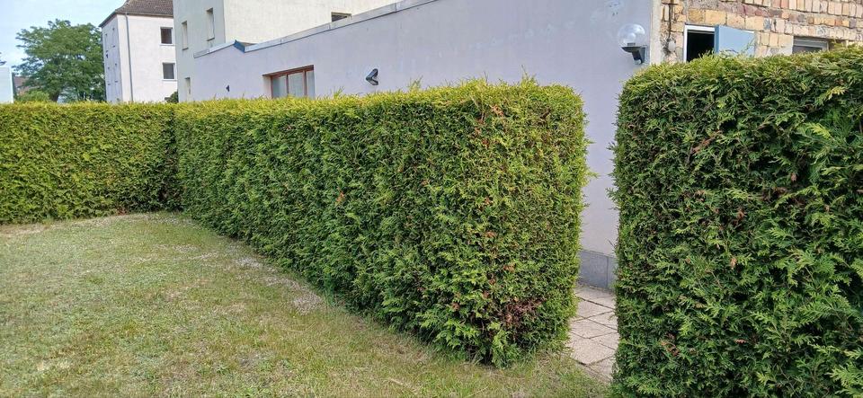 Reihenhaus Bitterfeld-Wolfen Holzweißig - 6 Zimmer, 80 m&sup2;, 74.900&euro; | Angebot:26918518
