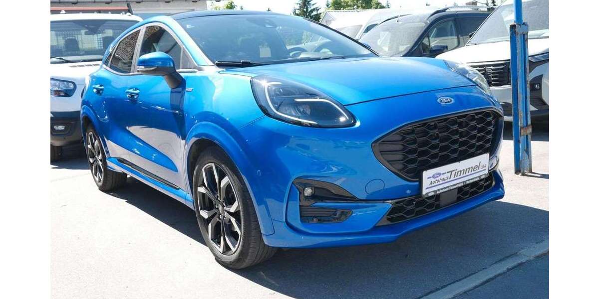 Ford Puma 99.300 km 15.990 &euro; Marienberg-Reitzenhain 09496