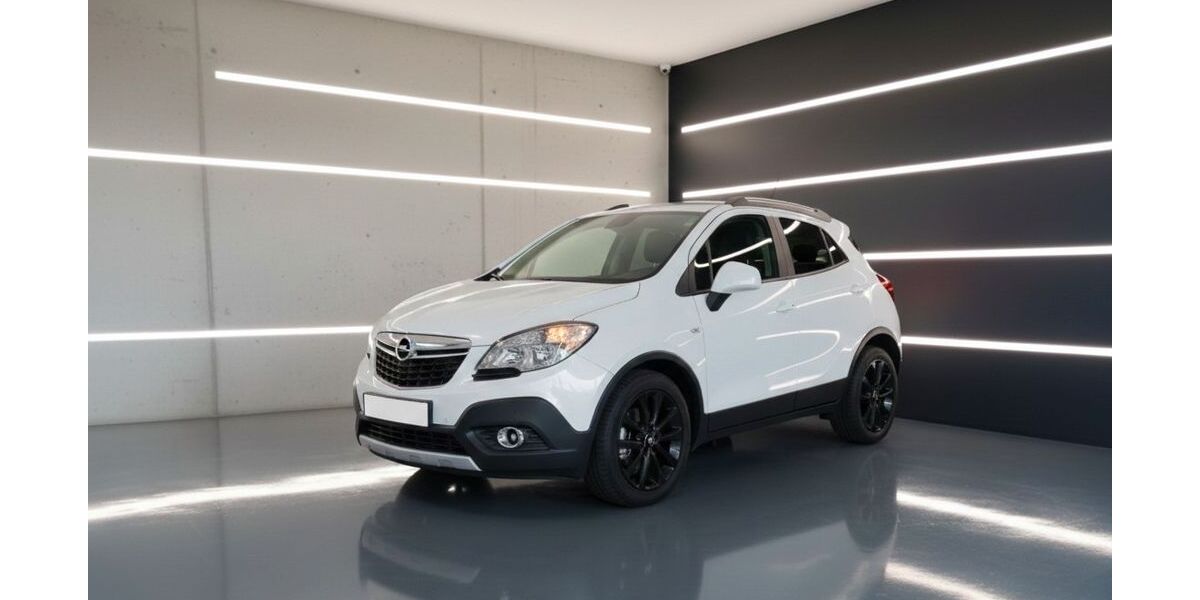 Opel Mokka 106.750 km 9.990 &euro; Frankenthal 67227