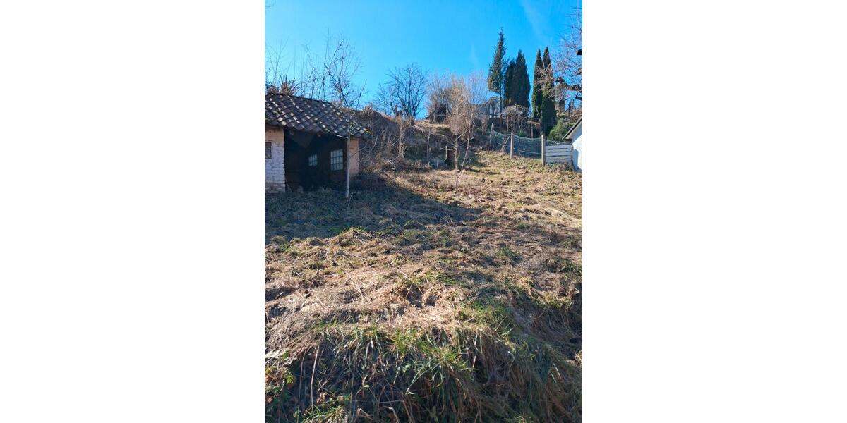 Einfamilienhaus Bad Lauterberg im Harz - 10 Zimmer, 280 m&sup2;, 175.000&euro; | Angebot:26039790