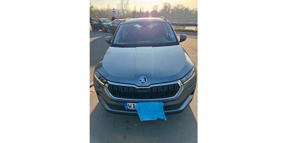 Skoda Karoq 13.100 km 31.000 € Wiesbaden 65189