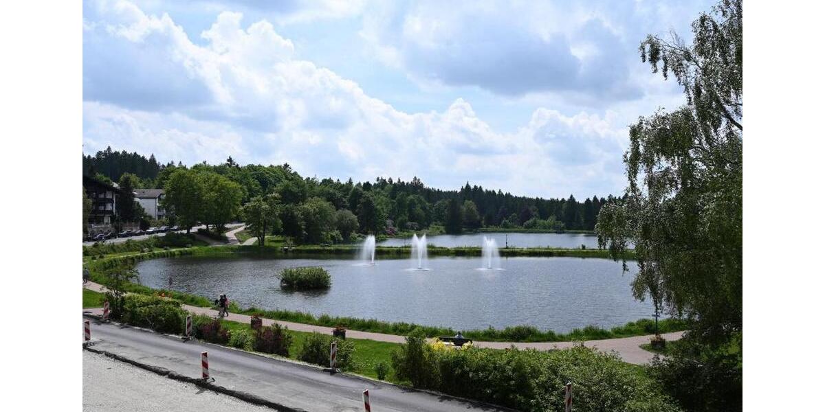 Etagenwohnung Goslar OS Hahnenklee-Bockswiese - 1 Zimmer, 32 m&sup2;, 37.000&euro; | Angebot:27158290