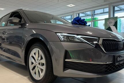 Skoda Octavia 2.500 km 36.290 &euro; Dahnsdorf 14806