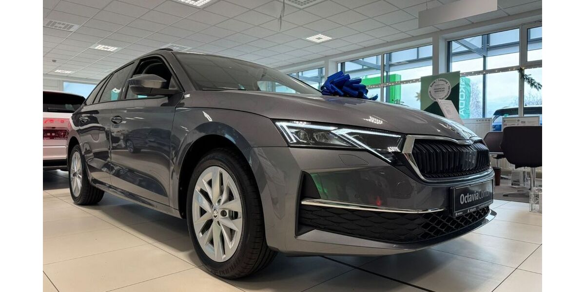 Skoda Octavia 2.500 km 38.980 € Dahnsdorf 14806