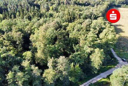 Grundstück Altdorf - 58.600&euro; | Angebot:25199011