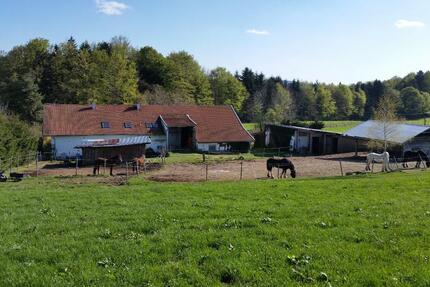 Wohnung Jandelsbrunn - 2 Zimmer, 55 m&sup2;, 350&euro; | Angebot:25404610