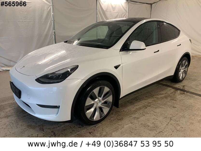 Model Y