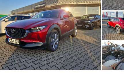 Mazda CX-30 7.881 km 25.990 &euro; Köthen 06366
