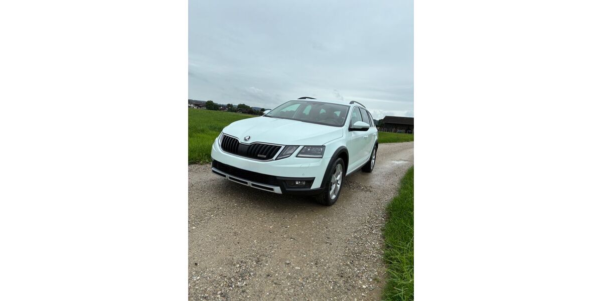 Skoda Octavia 90.000 km 19.550 &euro; Bruckmühl 83052