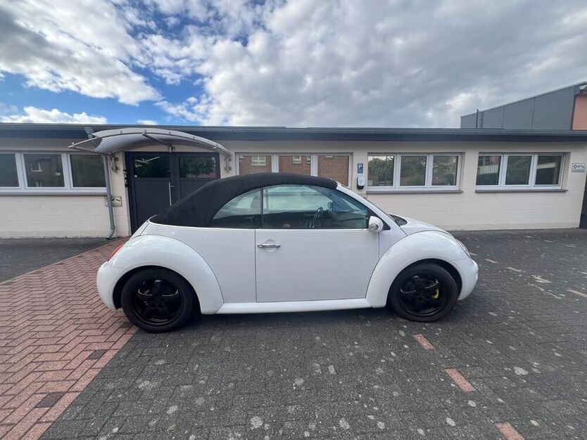 Beetle